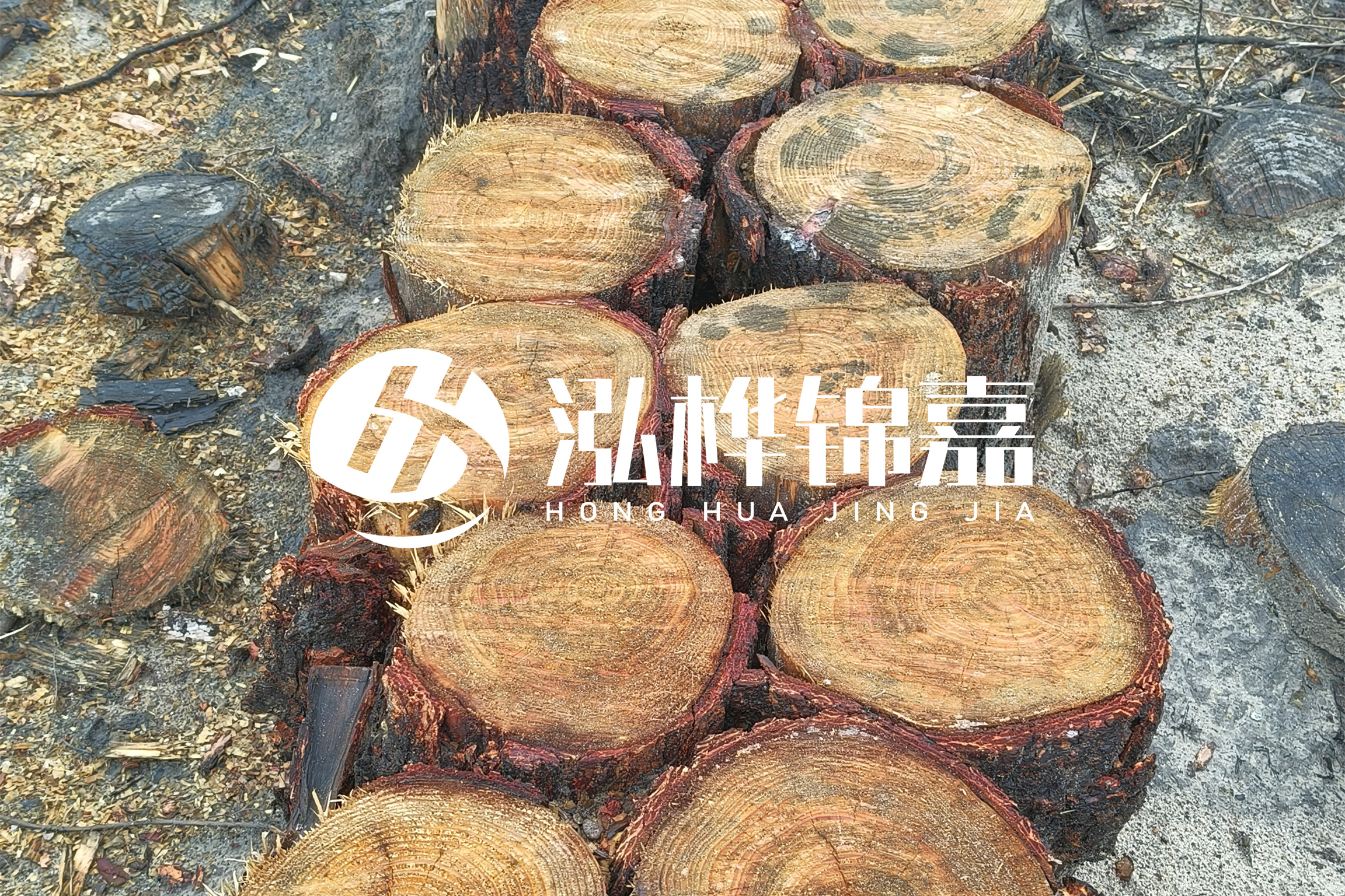 浙江臺(tái)州有清淤的公司嗎？浙江臺(tái)州有清淤施工隊(duì)嗎？