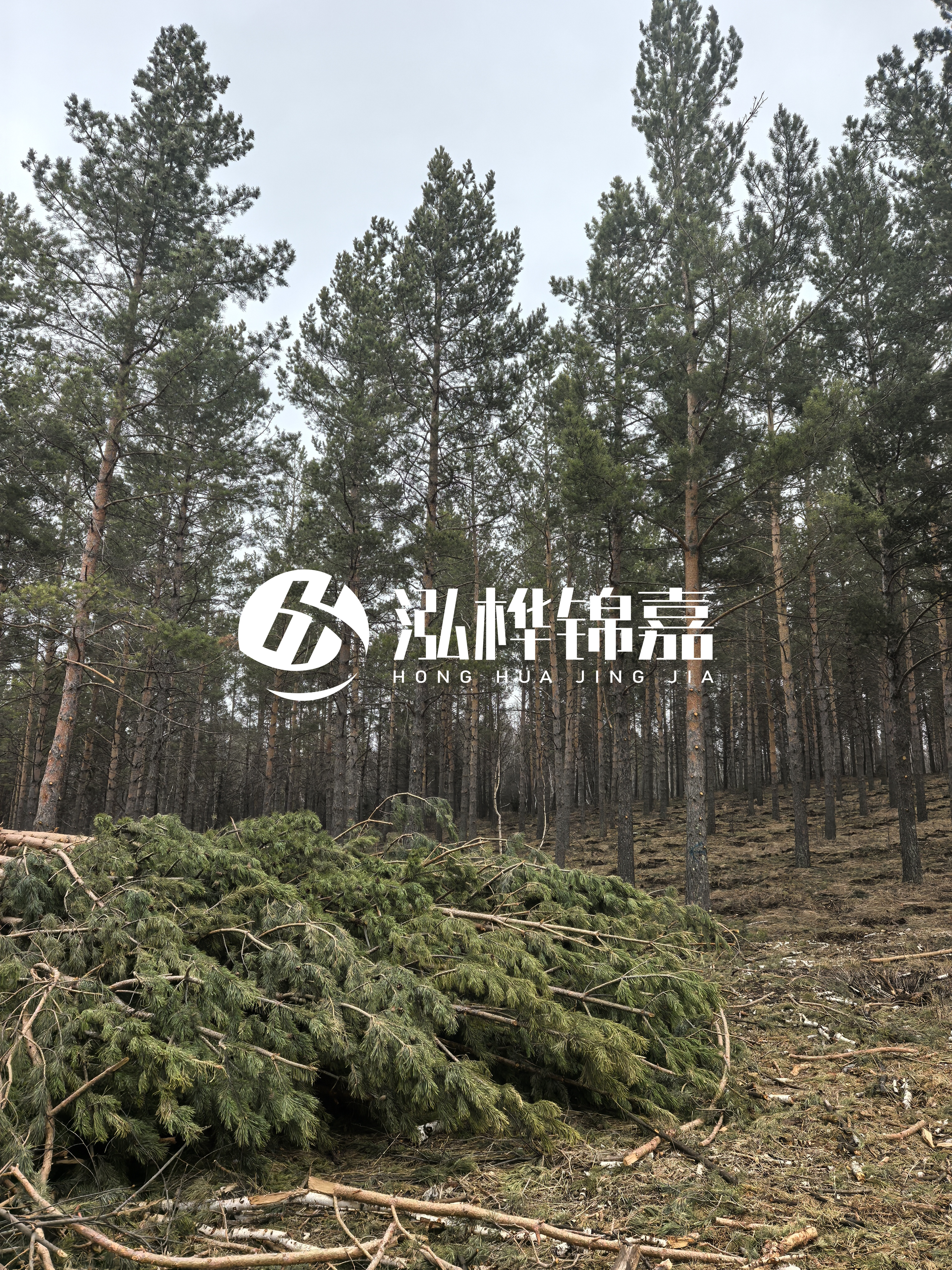 松木樁施工隊泓樺錦嘉 - 河道打樁木能在水里使用多少年？