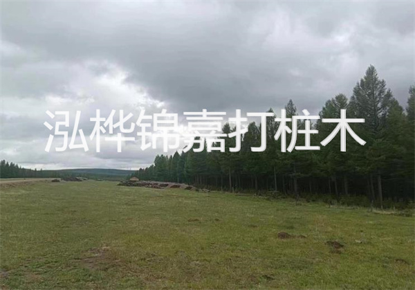 軟土地基加固措施，保障建筑穩(wěn)固