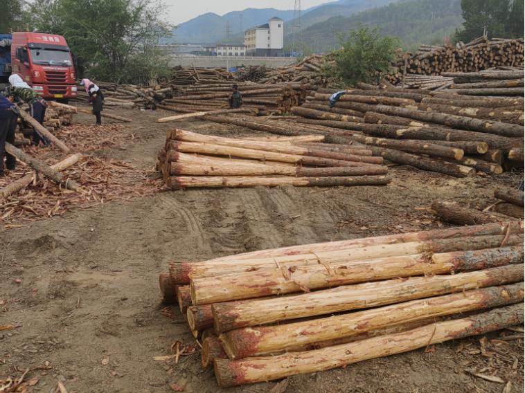 打造獨(dú)特魅力，混凝土著色劑為您加冕