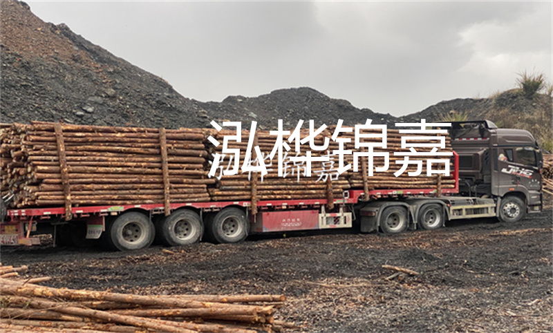 云南哪里有松木樁？實用指南，助您選購優(yōu)質(zhì)木材！