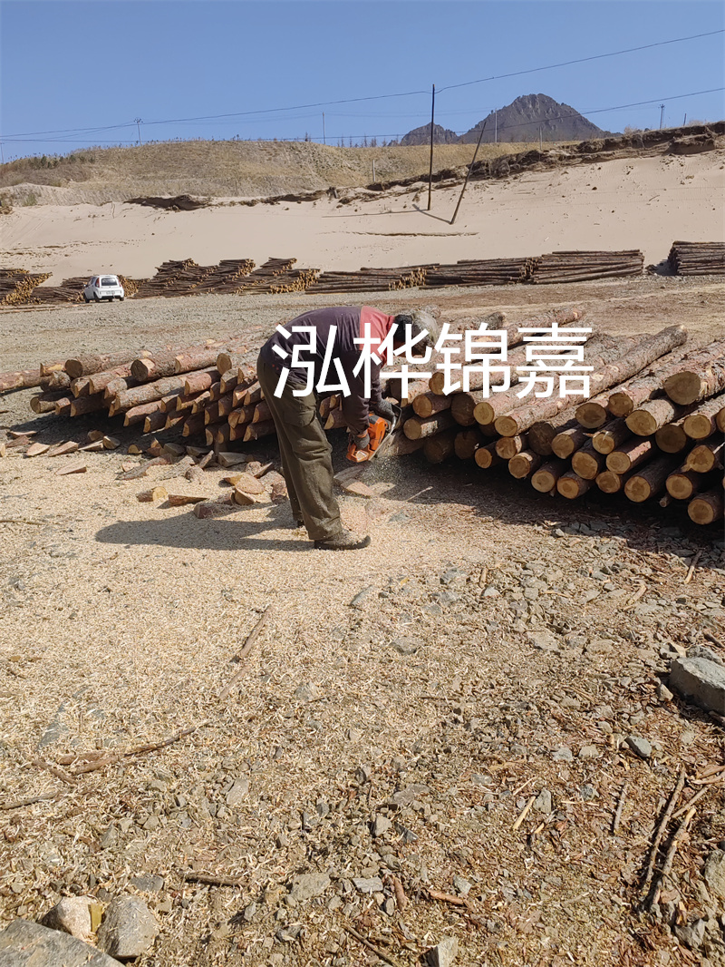 松木樁哪里有賣？挑選松木樁要注意什么？